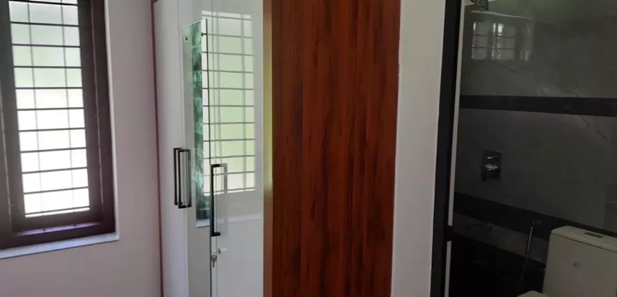 New 3 BHK House in 16 Cents of Land Near Chempilavu Junction for Sale