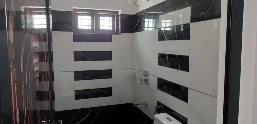 New 3 BHK House in 16 Cents of Land Near Chempilavu Junction for Sale