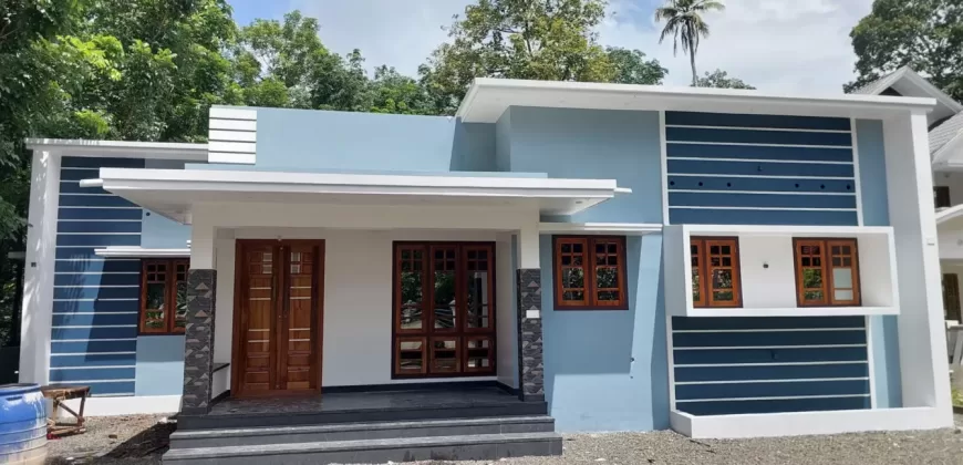 New 3 BHK House in 16 Cents of Land Near Chempilavu Junction for Sale