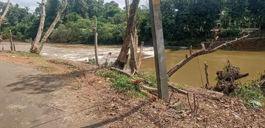 1 Acre and 30/20 Cents Plots for Sale at Kidangoor South