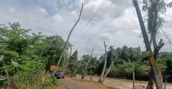 1 Acre and 30/20 Cents Plots for Sale at Kidangoor South