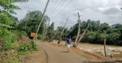 1 Acre and 30/20 Cents Plots for Sale at Kidangoor South