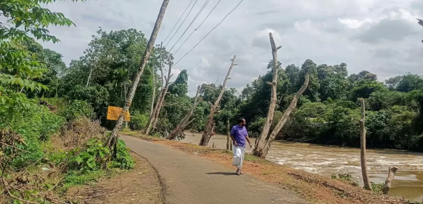 1 Acre and 30/20 Cents Plots for Sale at Kidangoor South