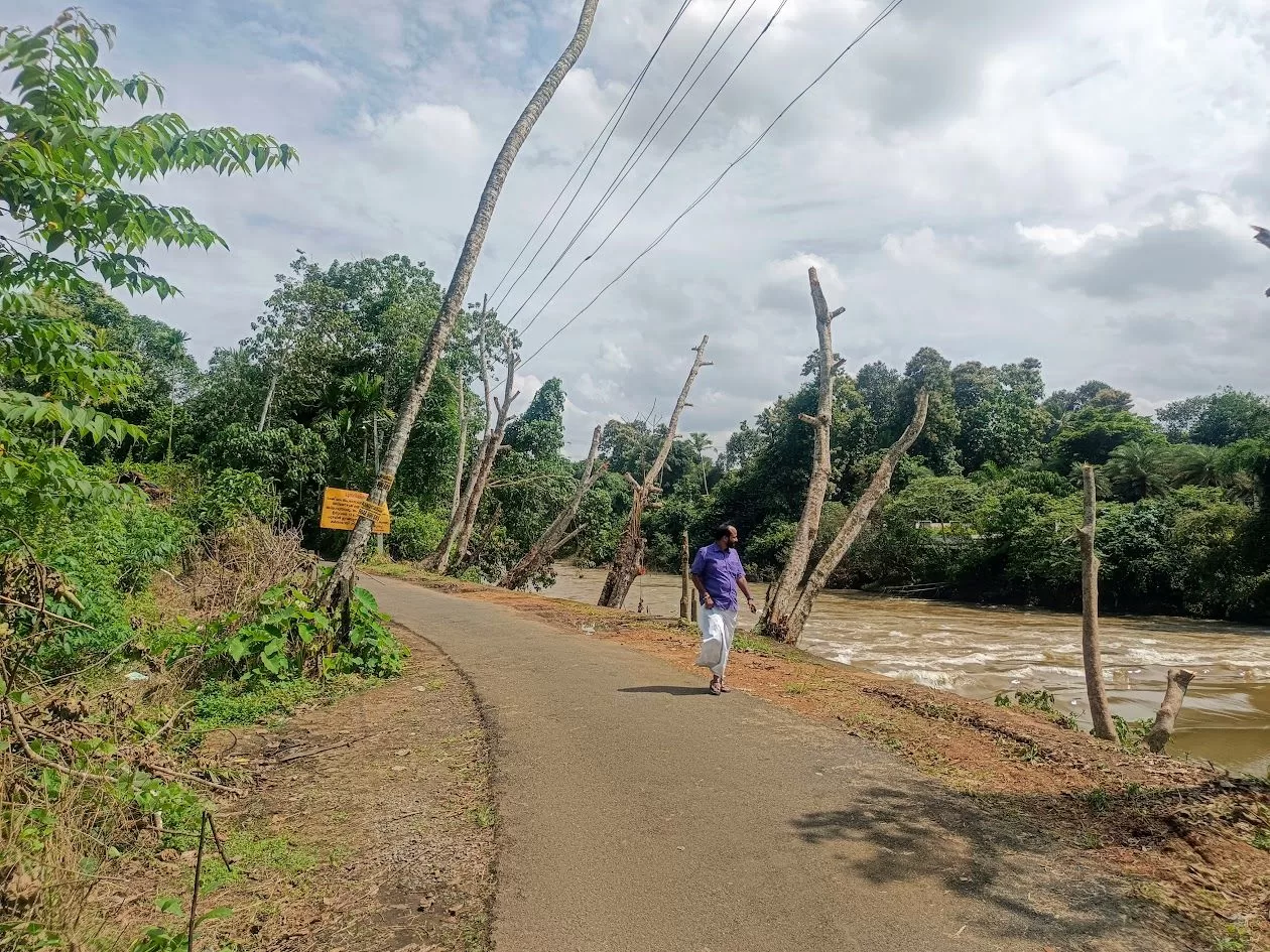 1 Acre and 30/20 Cents Plots for Sale at Kidangoor South