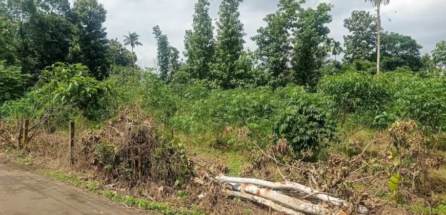 1 Acre and 30/20 Cents Plots for Sale at Kidangoor South