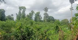 1 Acre and 30/20 Cents Plots for Sale at Kidangoor South