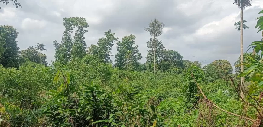 1 Acre and 30/20 Cents Plots for Sale at Kidangoor South