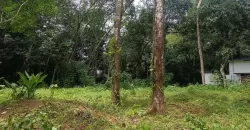 17 Cents of Housing Plot Near Kummannoor Karottu Junction For Sale