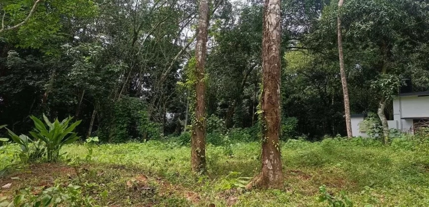 17 Cents of Housing Plot Near Kummannoor Karottu Junction For Sale