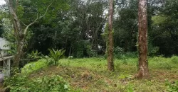 17 Cents of Housing Plot Near Kummannoor Karottu Junction For Sale