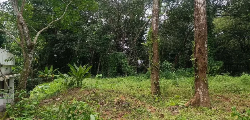 17 Cents of Housing Plot Near Kummannoor Karottu Junction For Sale