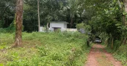 17 Cents of Housing Plot Near Kummannoor Karottu Junction For Sale