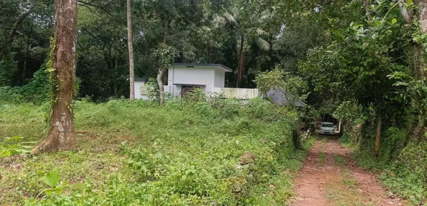 17 Cents of Housing Plot Near Kummannoor Karottu Junction For Sale