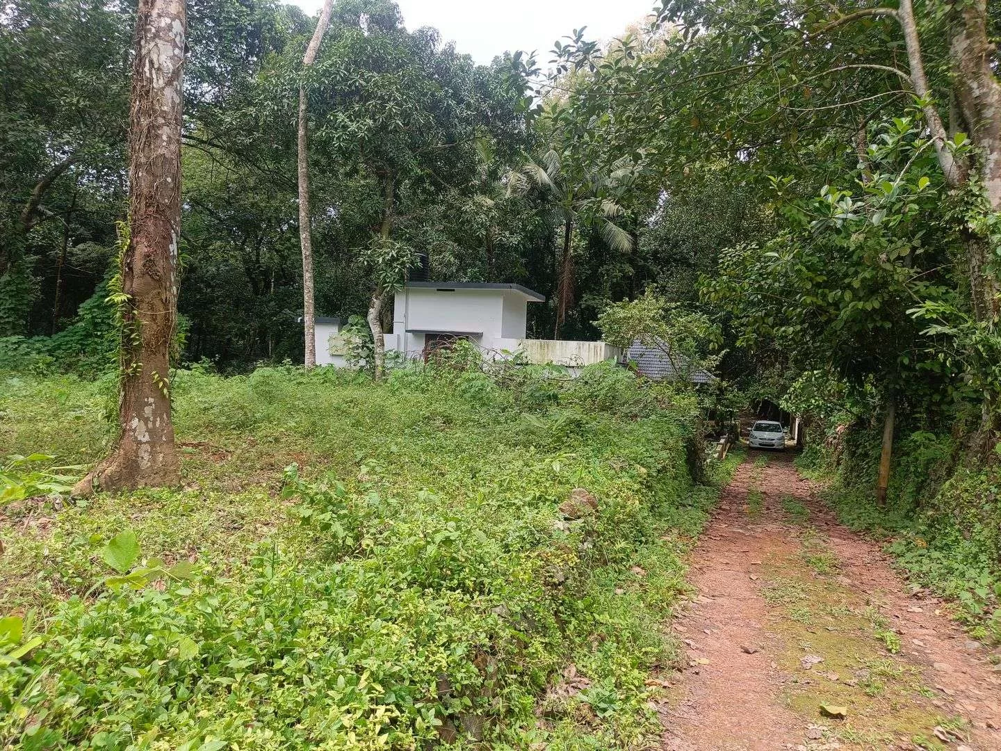 17 Cents of Housing Plot Near Kummannoor Karottu Junction For Sale