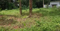 17 Cents of Housing Plot Near Kummannoor Karottu Junction For Sale