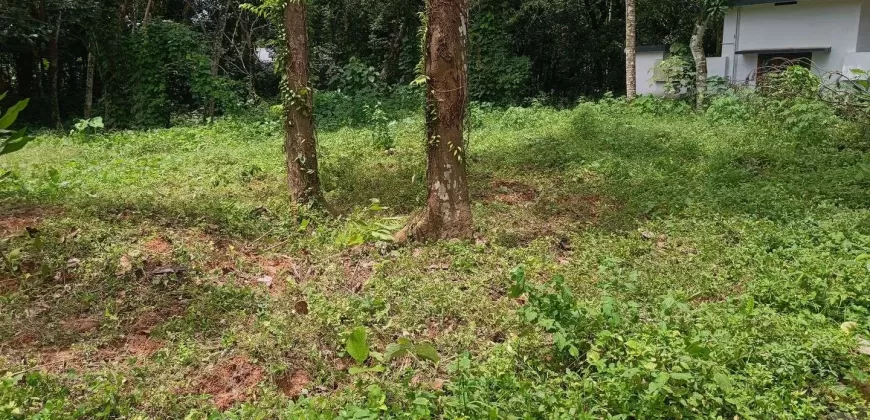 17 Cents of Housing Plot Near Kummannoor Karottu Junction For Sale