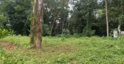 17 Cents of Housing Plot Near Kummannoor Karottu Junction For Sale