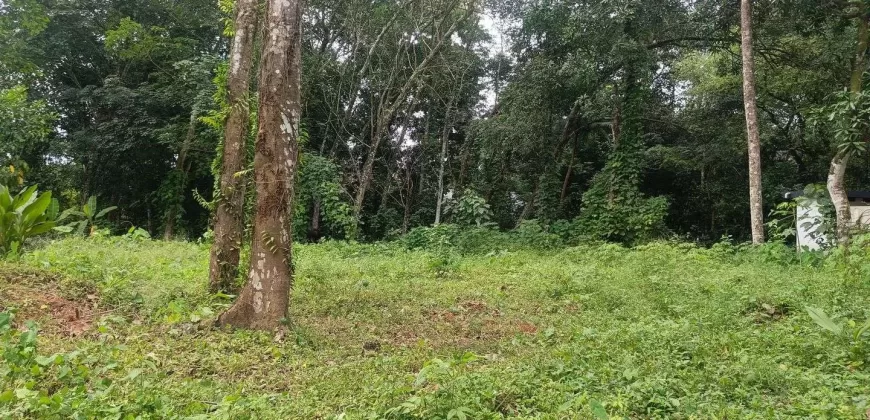 17 Cents of Housing Plot Near Kummannoor Karottu Junction For Sale