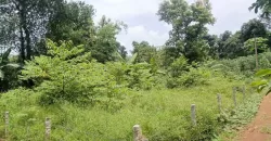 10 Cents Plot 700 Meters Near to Highway for Sale in Kummannoor, Ideal for Building a House!