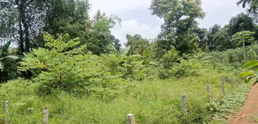 10 Cents Plot 700 Meters Near to Highway for Sale in Kummannoor, Ideal for Building a House!