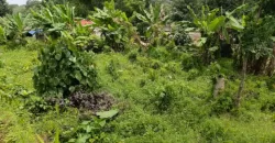 15 Cents Plot for Sale Near Kummannoor Highway, Ideal for Building a House!