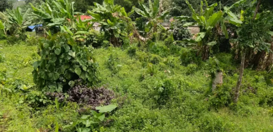 15 Cents Plot for Sale Near Kummannoor Highway, Ideal for Building a House!