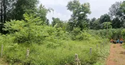 10 Cents Plot 700 Meters Near to Highway for Sale in Kummannoor, Ideal for Building a House!