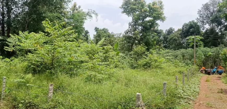 10 Cents Plot 700 Meters Near to Highway for Sale in Kummannoor, Ideal for Building a House!