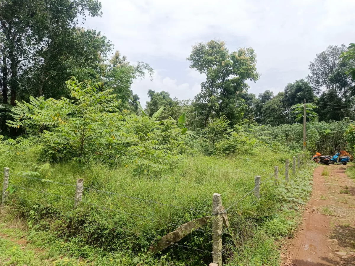 10 Cents Plot 700 Meters Near to Highway for Sale in Kummannoor, Ideal for Building a House!