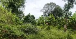 15 Cents Plot for Sale Near Kummannoor Highway, Ideal for Building a House!