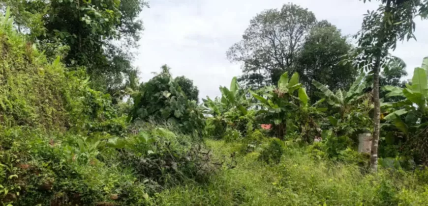 15 Cents Plot for Sale Near Kummannoor Highway, Ideal for Building a House!