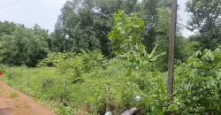 10 Cents Plot 700 Meters Near to Highway for Sale in Kummannoor, Ideal for Building a House!