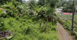 15 Cents Plot for Sale Near Kummannoor Highway, Ideal for Building a House!