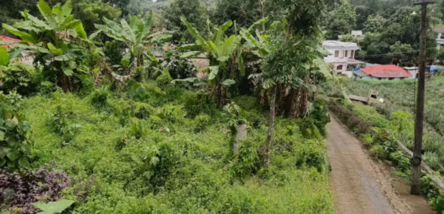 15 Cents Plot for Sale Near Kummannoor Highway, Ideal for Building a House!