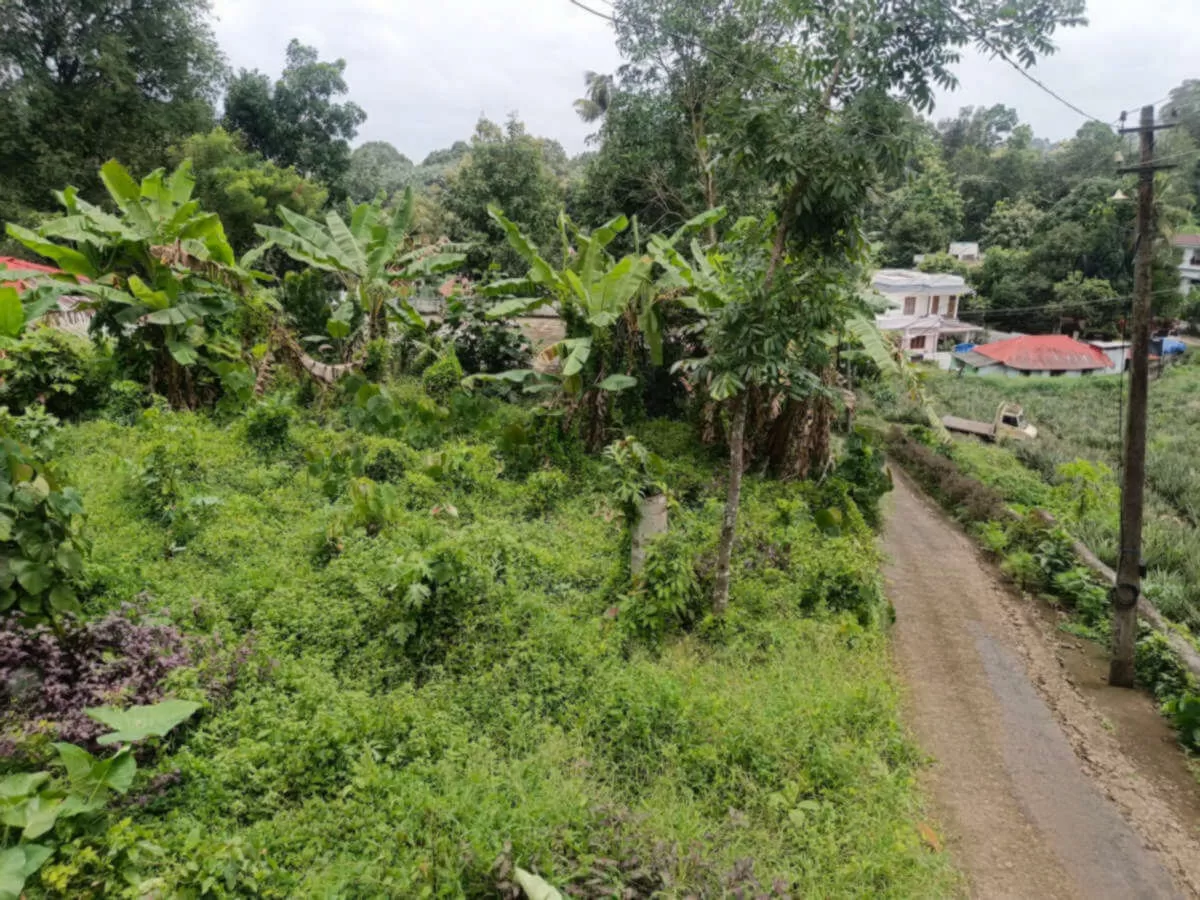 15 Cents Plot for Sale Near Kummannoor Highway, Ideal for Building a House!