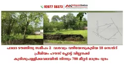 19 Cent Premium House Plot, Located Near Pala Town, just 700 Meters from Kurishupally Kavala